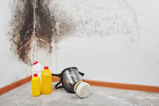 Best Water Damage Restoration  in Long Beach, MD