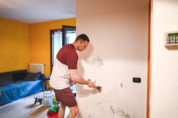 Best Office Mold Removal Services  in Long Beach, MD